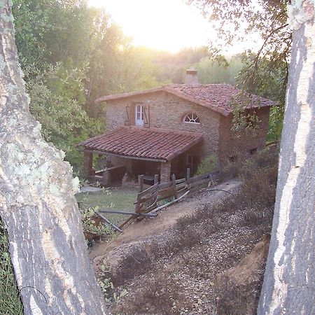 Casas El Alamillo- El Castanero Casa de hóspedes Galaroza Exterior foto